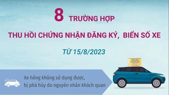 2023년 8월 15일부터 차량등록증 및 번호판 취소 8건