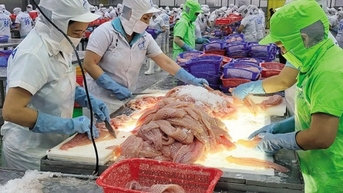 Kỷ lục mới của thương mại Việt Nam