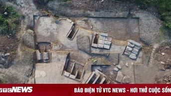 Ông lão phát hiện kho báu trong núi khi đi tìm cừu thất lạc