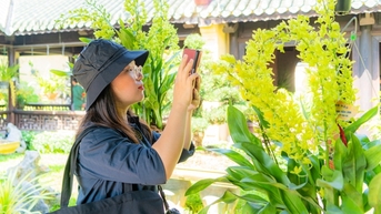 Cây cảnh và phong lan ba miền "đọ dáng, khoe sắc" tại Hoàng cung Huế