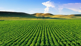 សំណើ​ពន្យារ​ការ​លើក​លែង​ពន្ធ​លើ​ការ​ប្រើ​ប្រាស់​ដី​កសិកម្ម​ដល់​ដំណាច់​ឆ្នាំ​២០៣០