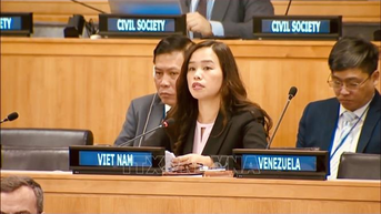 Việt Nam nhấn mạnh khuôn khổ quản lý đạn dược phải phù hợp luật pháp quốc tế