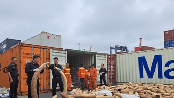 Hàng cấm, hàng lậu tìm mọi ngả vào Việt Nam