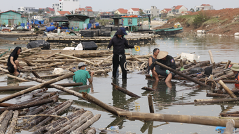 Sức cùng lực kiệt sau bão dữ, chủ lồng oằn vai ‘gánh’ nợ nghìn tỷ
