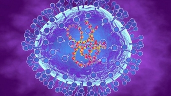 HMPV không phải là virus mới, từng được phát hiện năm 2023-2024