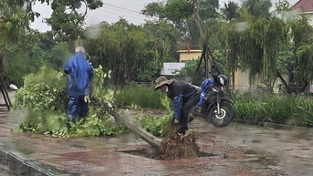 Bão số 4 chưa vào nhưng gió mạnh dần, cây bật gốc, đường biên giới ngập sâu