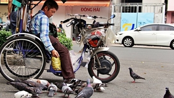 Người bán vé số ở TPHCM mua thức ăn 'đãi' chim trời để bớt cô đơn