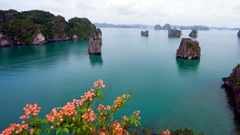 សម្រាប់​រដូវ​ផ្ការីក​ដ៏​ត្រចះត្រចង់ លើក​សម្រស់​កេរដំណែល