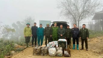 Thả 17 động vật rừng sau cứu hộ về môi trường tự nhiên