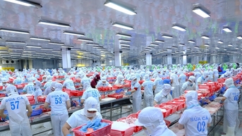 Các khó khăn khi thực hiện FTA thế hệ mới