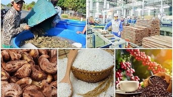 Bài 2: Xây dựng thương hiệu: Nút thắt do đâu?