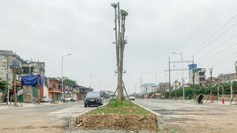 Cận cảnh tuyến đường hơn 250 tỷ đồng nối hai quận mãi chưa hoàn thiện sau nhiều năm thi công