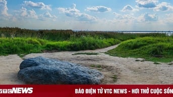 Tảng đá màu xanh biếc khiến các nhà khoa học đau đầu