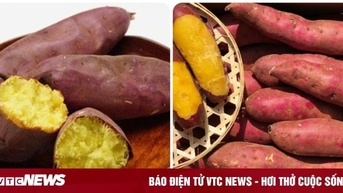 Ăn khoai lang luộc vào bữa sáng có tác dụng gì?