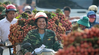 Chất vấn 2 Bộ trưởng, đại biểu hy vọng vải thiều Bắc Giang sẽ tốt lên