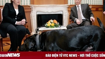 Ông Putin xin lỗi cựu Thủ tướng Đức Merkel
