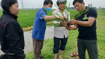 Kỹ sư 'hô biến' hạt giống nảy mầm siêu tốc