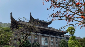 Du xuân chùa Địa Tạng Phi Lai những ngày đầu năm