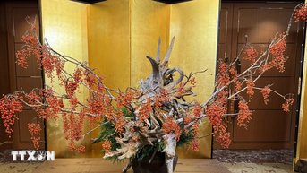 Đặc sắc Triển lãm nghệ thuật cắm hoa truyền thống quốc tế tại Tokyo