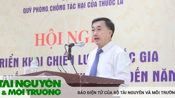 2030년까지 담배 피해 예방 및 통제에 관한 국가 전략