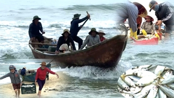 Dân đánh bắt gần bờ biển Quảng Ngãi sau bão Trà Mi, trúng la liệt cá ngon tươi rói, tiền nhiều hơn