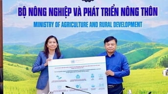 15 លានដុល្លារអាមេរិក ទំនិញ 200 តោន ដើម្បីជួយវៀតណាមក្នុងការយកឈ្នះព្យុះលេខ 3