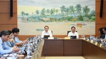 Bổ sung thủ tục đầu tư đặc biệt để thu hút “đại bàng”