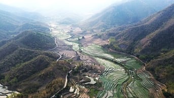 Xanh mướt những cánh ruộng bậc thang trên cổng trời Mường Lát