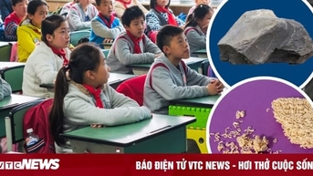 Bài giảng chống nạn bắt nạt học đường của cô giáo được cộng đồng mạng khen ngợi