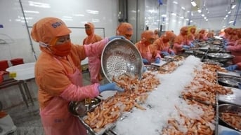 Cảnh báo sớm về điều tra phòng vệ thương mại có ý nghĩa quan trọng đối với doanh nghiệp