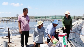 Nuôi tôm công nghệ cao kiểu gì mà cứ 3 tháng là ông tỷ phú nông dân Bà Rịa-Vũng Tàu lãi 1 tỷ?