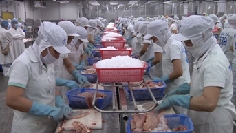 Dồn lực gỡ khó cho xuất khẩu thủy sản