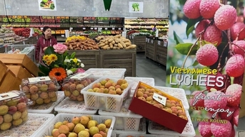Cơ hội tiềm năng cho hàng Việt xuất khẩu vào thị trường Australia
