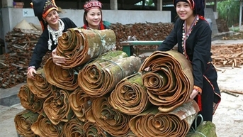 Năm 2024, xuất khẩu quế sang thị trường Ấn Độ giảm 5,7%
