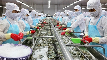 "Vua tôm" muốn lấn sân làm nhà ở xã hội