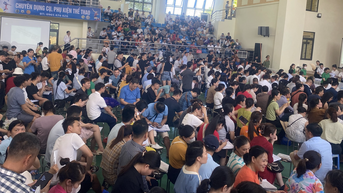 100 triệu đồng/m² đất đấu giá Thanh Oai: Chỉ mang tính chất cục bộ
