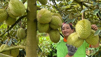 Trung Quốc nhập mạnh rau quả Việt, 7 tháng lên gần 2,5 tỷ USD