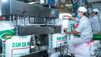 Ca Mau Petroleum Fertilizer가 20% 현금 배당금을 지급합니다.