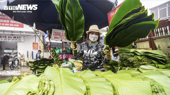 ផ្សារស្លឹកដុងចំណាស់ជាងគេនៅទីក្រុងហាណូយ មានភាពអ៊ូអរនៅមុនថ្ងៃបុណ្យតេត