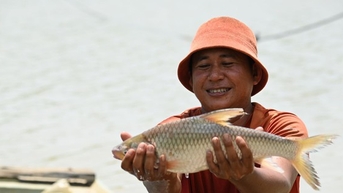 Nơi con sông Vàm Cỏ Đông từ Campuchia chảy vào đất Việt ở Tây Ninh, dân bắt cá ngon thế này đây