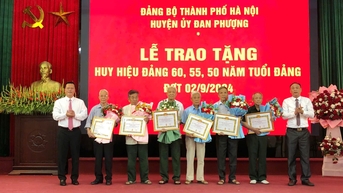 162 đảng viên huyện Đan Phượng được trao Huy hiệu Đảng đợt 2/9
