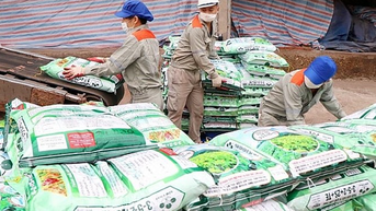 Doanh nghiệp kiến nghị giảm thuế xuất khẩu phân bón về 0%
