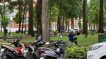 Phủ thêm mảng xanh cho TP HCM