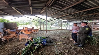 Tuyên Quang siết chặt quản lý nuôi động vật hoang dã