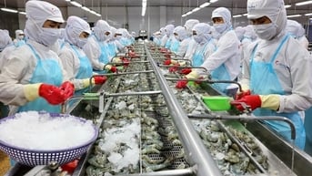 Phòng vệ thương mại triển khai đồng bộ, toàn diện: Tiền đề giúp khơi thông nguồn lực phát triển
