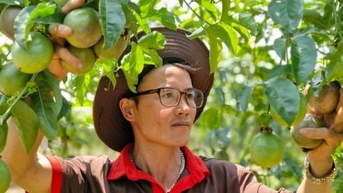 សួនផ្លែឈើ Passion ដូចជាតំបន់ទេសចរណ៍ធម្មជាតិ ឆ្លើយតបតាមស្តង់ដារនាំចេញរបស់អឺរ៉ុប