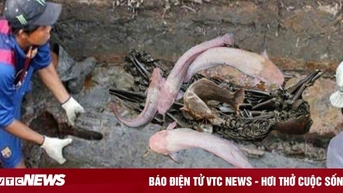 Cá trê 'dẫn lối' tới mộ cổ 2.000 tuổi, càng vào bên trong càng bất ngờ