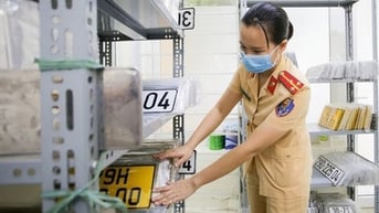 Lo bỏ cọc khi giá khởi điểm đấu giá biển số xe máy thấp