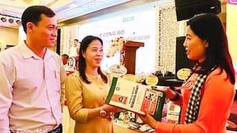 Xây dựng thương hiệu quốc gia cho sản phẩm OCOP