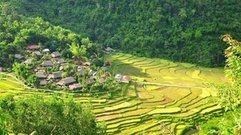 Thanh Hóa là địa phương có tiềm năng về du lịch nông nghiệp